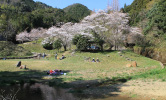 糸米川公園